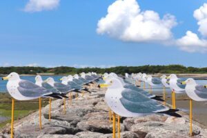 佐久島、カモメの教室、アートの島、愛知県西尾市佐久島の観光・撮影スポットの画像と写真