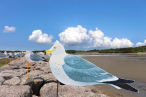 佐久島、カモメの教室、アートの島、愛知県西尾市佐久島の観光・撮影スポットの画像と写真