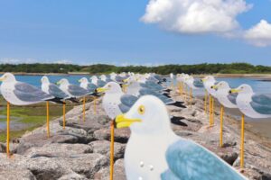 佐久島、カモメの教室、アートの島、愛知県西尾市佐久島の観光・撮影スポットの画像と写真