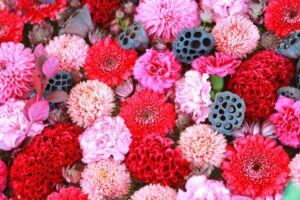 津島神社、花手水舎、秋、愛知県津島市の観光・撮影スポットの名所