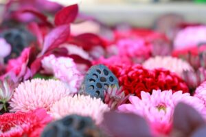 津島神社、花手水舎、秋、愛知県津島市の観光・撮影スポットの名所