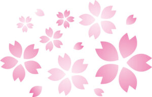四季桜イラスト