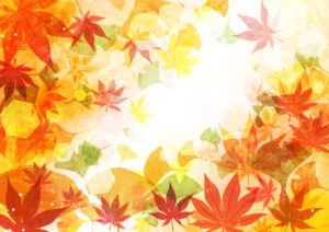 紅葉イラスト