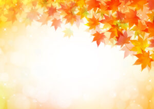 紅葉イラスト