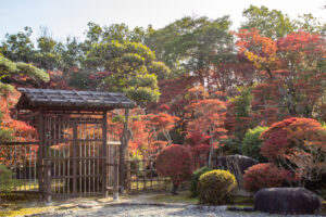 どうだん亭、紅葉、11月秋の名所、愛知県尾張旭市の観光・撮影スポットの名所