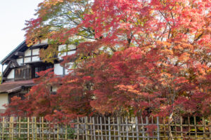 どうだん亭、紅葉、11月秋の名所、愛知県尾張旭市の観光・撮影スポットの名所