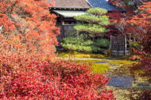 どうだん亭、紅葉、11月秋の名所、愛知県尾張旭市の観光・撮影スポットの名所