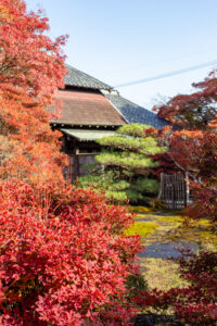 どうだん亭、紅葉、11月秋の名所、愛知県尾張旭市の観光・撮影スポットの名所