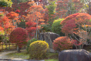どうだん亭、紅葉、11月秋の名所、愛知県尾張旭市の観光・撮影スポットの名所