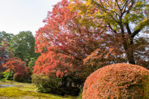 どうだん亭、紅葉、11月秋の名所、愛知県尾張旭市の観光・撮影スポットの名所