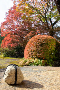 どうだん亭、紅葉、11月秋の名所、愛知県尾張旭市の観光・撮影スポットの名所