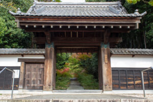 大森寺、紅葉、11月の秋、名古屋市守山区の観光・撮影スポットの名所