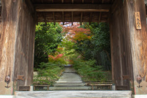 大森寺、紅葉、11月の秋、名古屋市守山区の観光・撮影スポットの名所