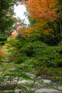 大森寺、紅葉、11月の秋、名古屋市守山区の観光・撮影スポットの名所