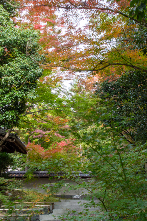 大森寺、紅葉、11月の秋、名古屋市守山区の観光・撮影スポットの名所