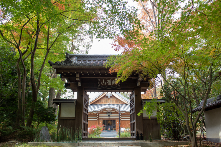 大森寺、紅葉、11月の秋、名古屋市守山区の観光・撮影スポットの名所