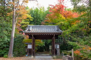 大森寺、紅葉、11月の秋、名古屋市守山区の観光・撮影スポットの名所