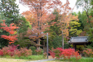大森寺、紅葉、11月の秋、名古屋市守山区の観光・撮影スポットの名所