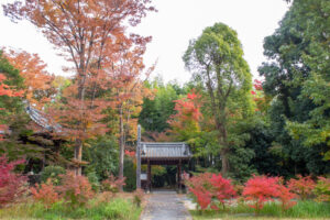 大森寺、紅葉、11月の秋、名古屋市守山区の観光・撮影スポットの名所