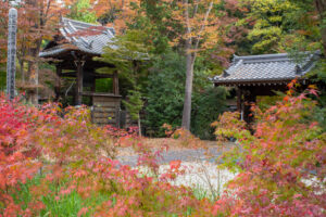 大森寺、紅葉、11月の秋、名古屋市守山区の観光・撮影スポットの名所