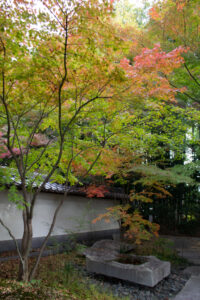 大森寺、紅葉、11月の秋、名古屋市守山区の観光・撮影スポットの名所