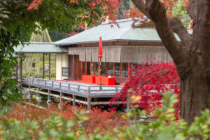 白鳥庭園、紅葉、11月、秋、名古屋市熱田区の観光・撮影スポットの画像と写真