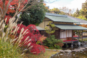 白鳥庭園、紅葉、11月、秋、名古屋市熱田区の観光・撮影スポットの画像と写真