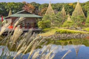 白鳥庭園、紅葉、11月、秋、名古屋市熱田区の観光・撮影スポットの画像と写真