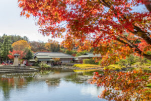白鳥庭園、紅葉、11月、秋、名古屋市熱田区の観光・撮影スポットの画像と写真