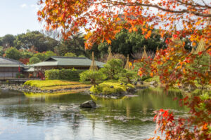 白鳥庭園、紅葉、11月、秋、名古屋市熱田区の観光・撮影スポットの画像と写真