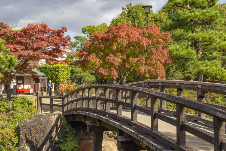 白鳥庭園、紅葉、11月、秋、名古屋市熱田区の観光・撮影スポットの画像と写真