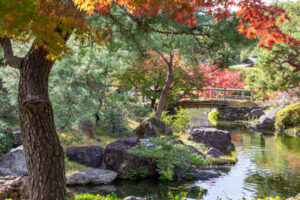 白鳥庭園、紅葉、11月、秋、名古屋市熱田区の観光・撮影スポットの画像と写真