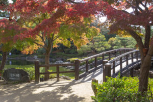 白鳥庭園、紅葉、11月、秋、名古屋市熱田区の観光・撮影スポットの画像と写真