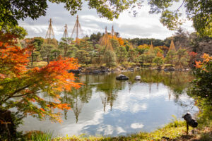 白鳥庭園、紅葉、11月、秋、名古屋市熱田区の観光・撮影スポットの画像と写真