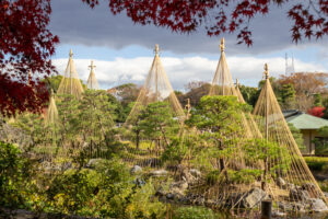 白鳥庭園、紅葉、11月、秋、名古屋市熱田区の観光・撮影スポットの画像と写真