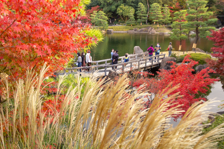 徳川園、龍仙湖、紅葉、秋、11月、名古屋市東区の観光・撮影スポットの画像と写真