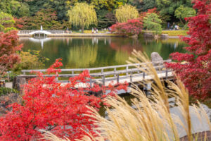 徳川園、龍仙湖、紅葉、秋、11月、名古屋市東区の観光・撮影スポットの画像と写真