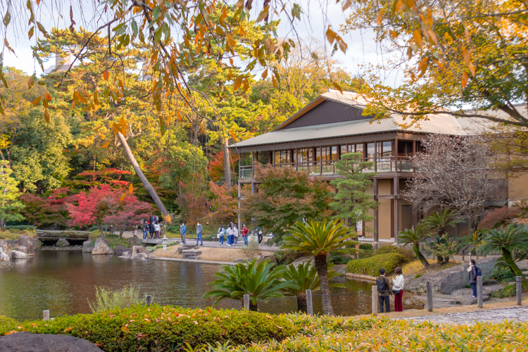 徳川園、龍仙湖、紅葉、秋、11月、名古屋市東区の観光・撮影スポットの画像と写真