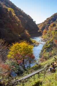 愛岐トンネル、紅葉、11月秋、愛知県春日井市の観光・撮影スポットの名所