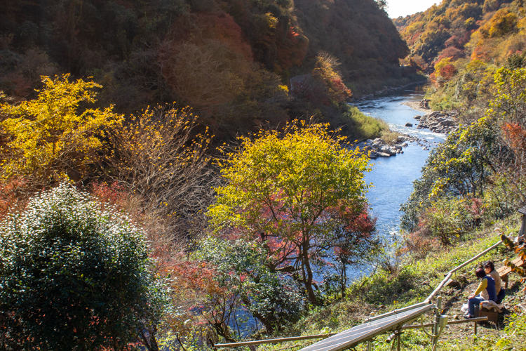 愛岐トンネル、紅葉、11月秋、愛知県春日井市の観光・撮影スポットの名所