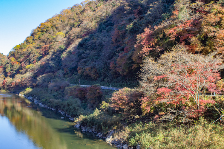 愛岐トンネル、紅葉、11月秋、愛知県春日井市の観光・撮影スポットの名所
