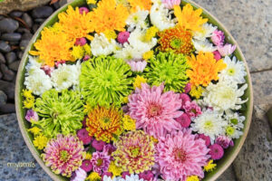 彌都加伎神社、花手水舎、三重県鈴鹿市の観光・撮影スポットの名所