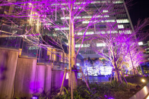 名古屋ルーセントタワー、イルミネーション、夜景、名古屋市中村区の観光・撮影スポットの名所