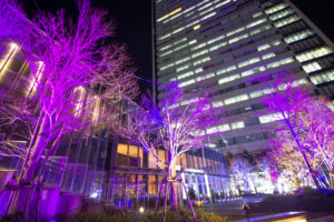 名古屋ルーセントタワー、イルミネーション、夜景、名古屋市中村区の観光・撮影スポットの名所