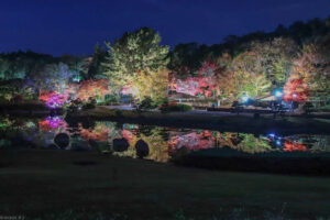 愛知県緑化センター、紅葉、ライトアップ、11月秋、愛知県豊田市の観光・撮影スポットの名所