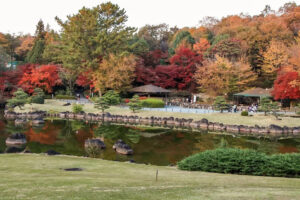 愛知県緑化センター、紅葉、11月秋、愛知県豊田市の観光・撮影スポットの名所