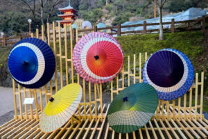 岐阜公園、ぎふ灯り物語、ライトアップ、和傘、１２月冬、岐阜県岐阜市の観光・撮影スポットの名所