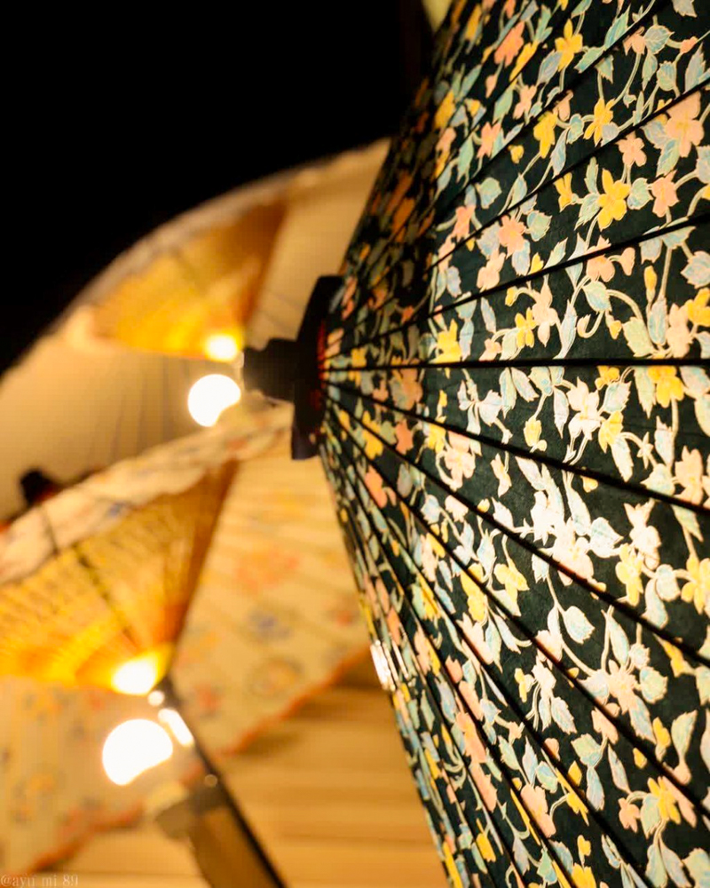 岐阜公園、ぎふ灯り物語、ライトアップ、和傘、１２月冬、岐阜県岐阜市の観光・撮影スポットの名所