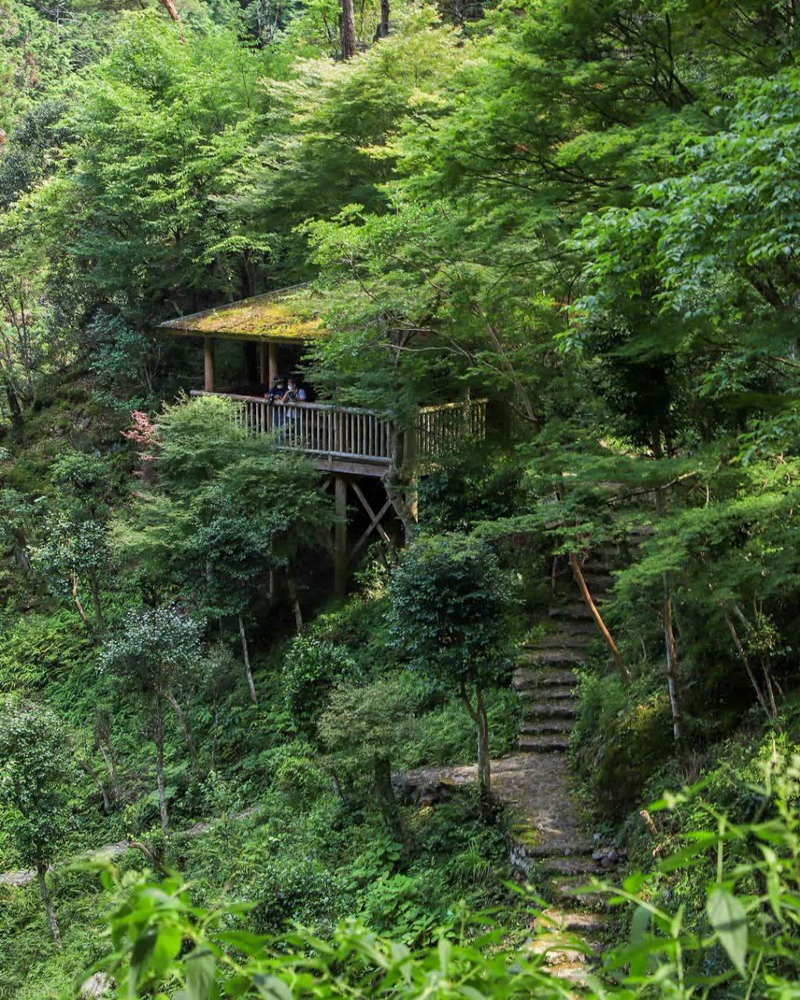 五宝の滝、７月夏、岐阜県加茂郡の観光・撮影スポットの名所