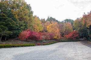 色金山公園、紅葉、11月秋、愛知県長久手市の観光・撮影スポットの名所